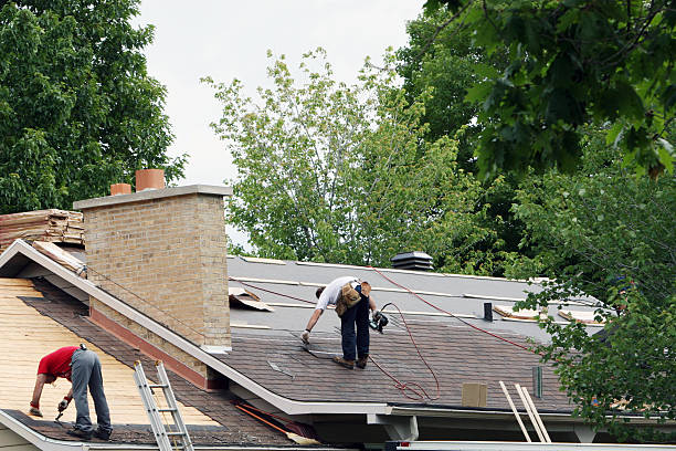 Steel Roofing